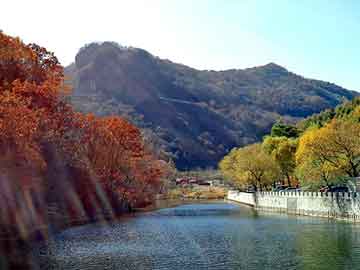 新澳天天开奖资料大全旅游团，曹seo论坛